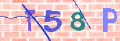 CAPTCHA Kép